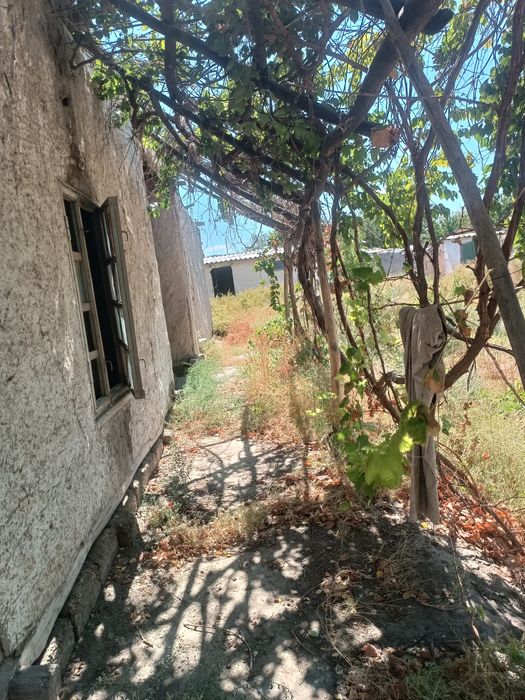 Uyni sharoitlari yaxshi