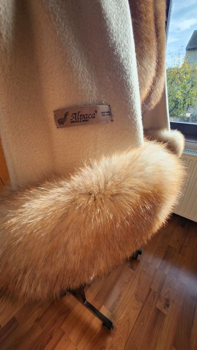Haina scurta alpaca