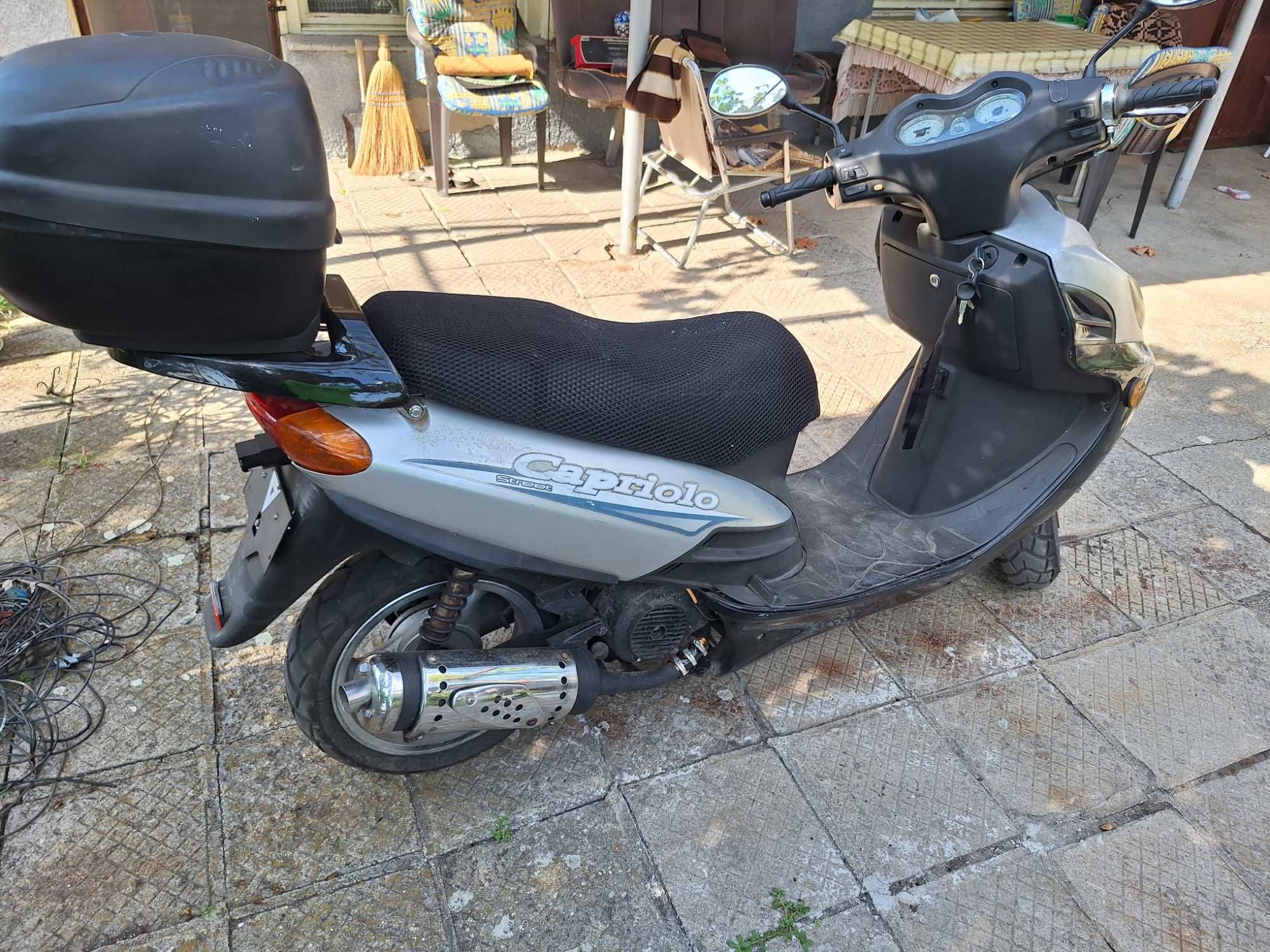 Rex capriolo 125