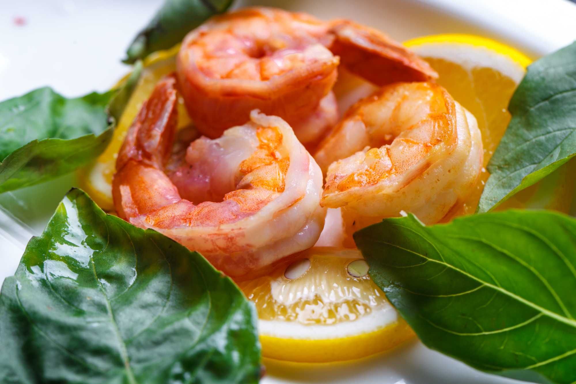 Food Photography