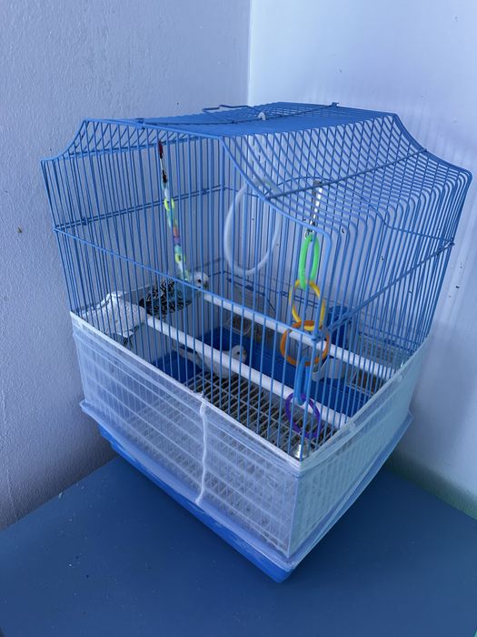 Vand pui Peruș cu toate accesoriile