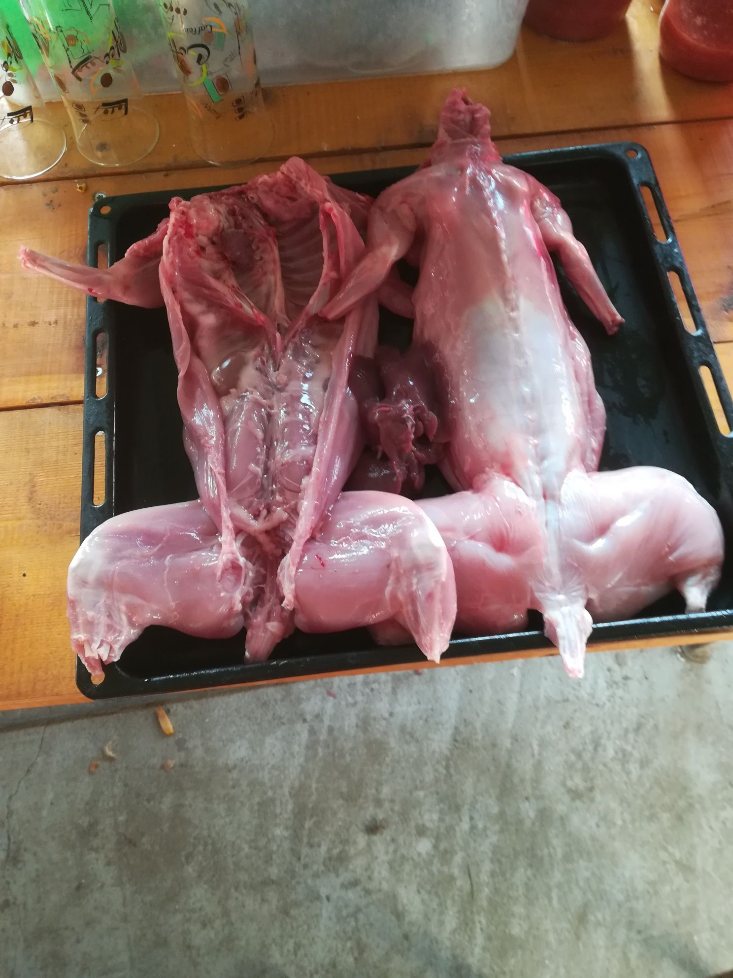 Carcasă iepure tineret