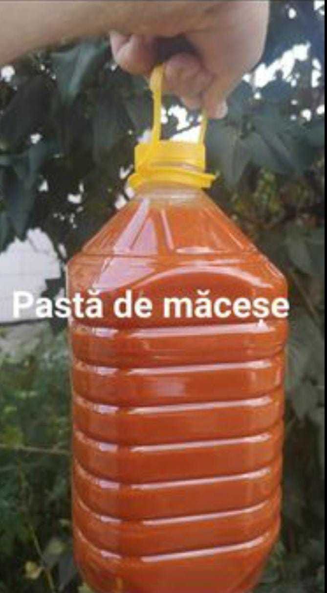 Pasta de macese la bidon de 5l