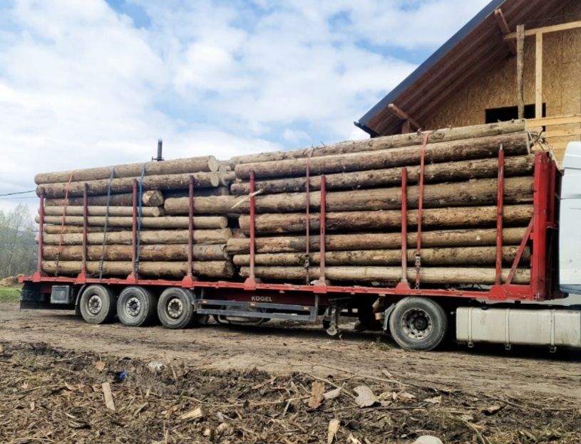 Semiremorcă kogel transport lemn
