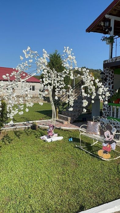 Aranjamente nunți ,botezuri