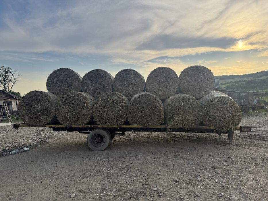 Baloti rotunzi de lucerna .