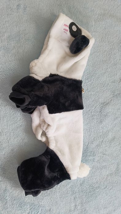 Одежда для собак