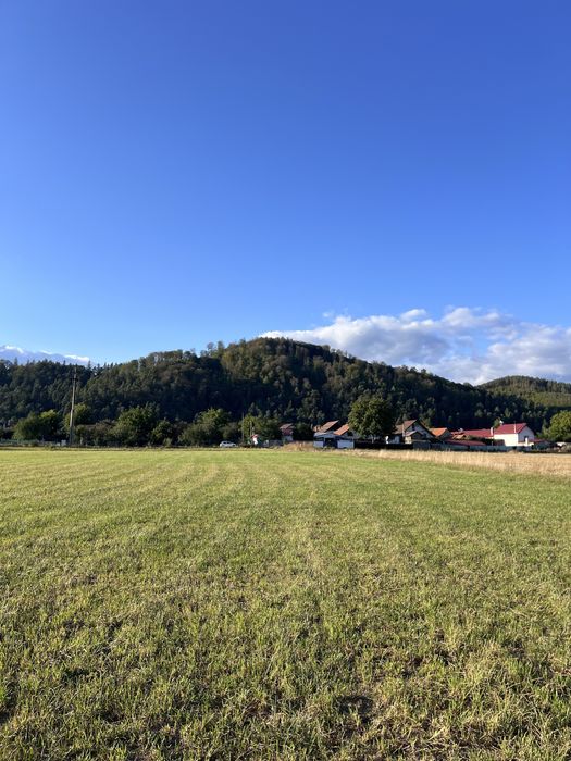 Parcele de teren intravilan curti-constructii PUZ AROBAT