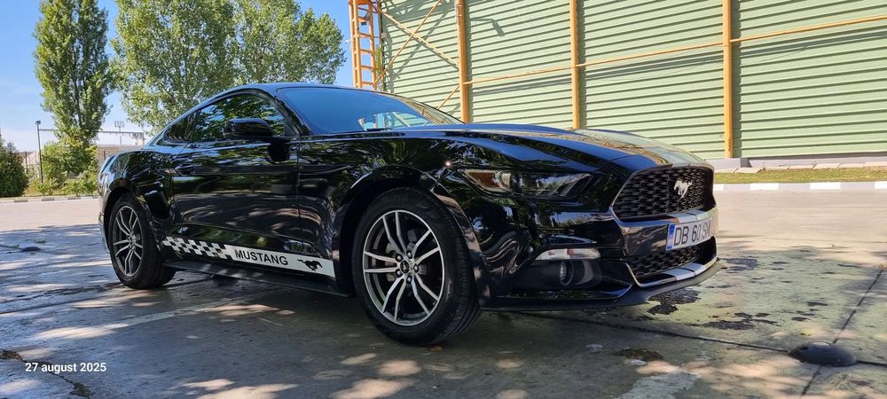 Ford Mustang Mustang 2.3, 317 Cp. 48.000Km