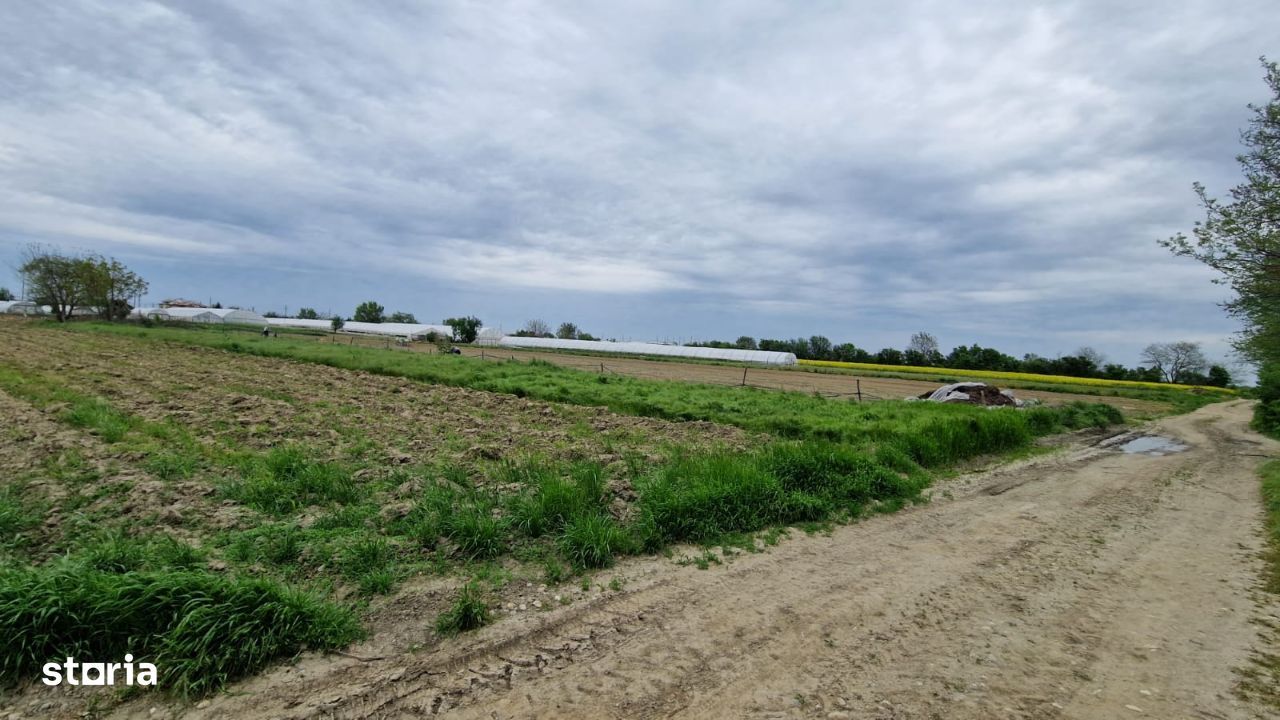 650 mp intravilan situat in Copaceni - Strada Cantonului