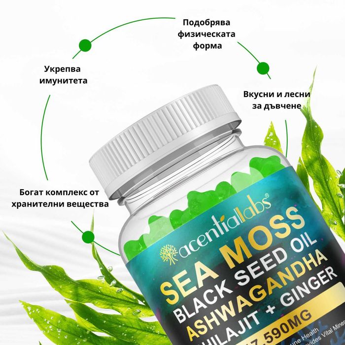 Sea Moss желирани мечета с шиладжит и ашфаганда морски мъх