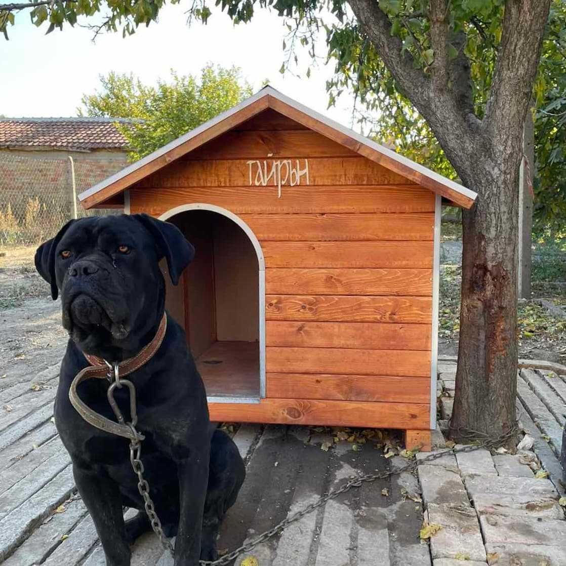 Кучешка къща,кучешка колиба