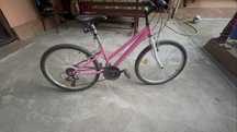 Bicicleta Everest Colibri 24”