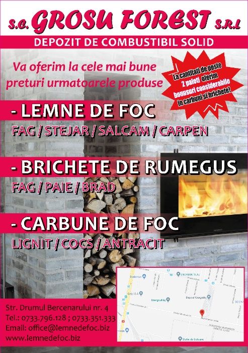 Combustibil solid , Lemne de foc si brichete de rumegus