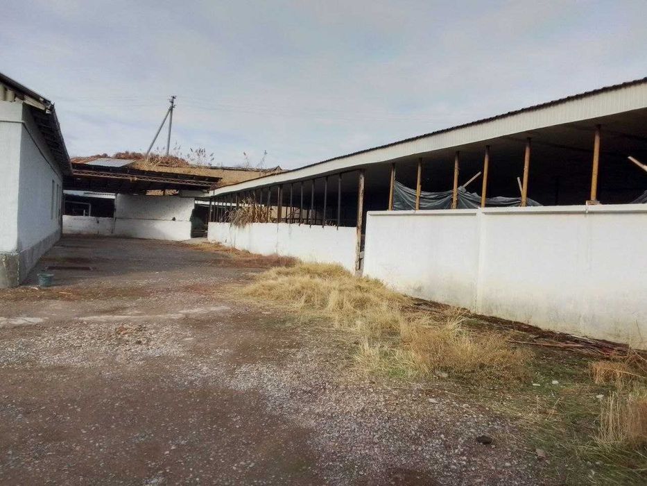 Тошкент вилояти Яангйол туманида 30 сотихди ферма сотилади