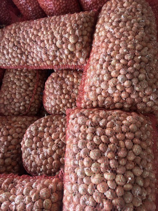 Арпаджикова балучка за зелено