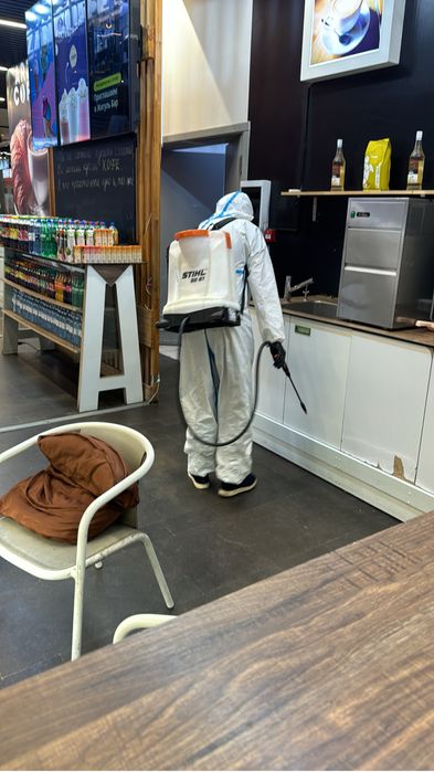 Обработка от тараканов, клопов и грызунов