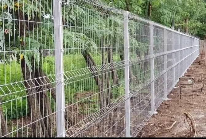 Vand și ecxecut garduri din plasa bordurata