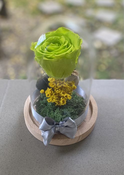 Cupole  / Trandafiri criogenati / Flori