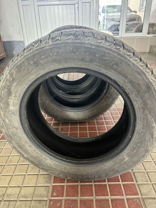 Triangle зимние шины