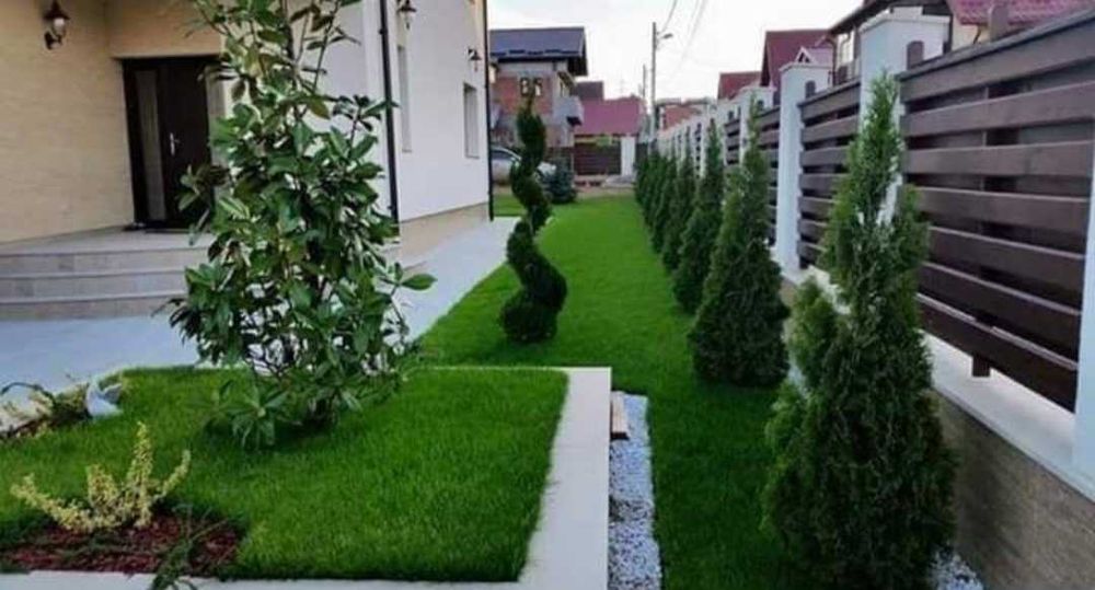 amenajari gazon si sparii verzi