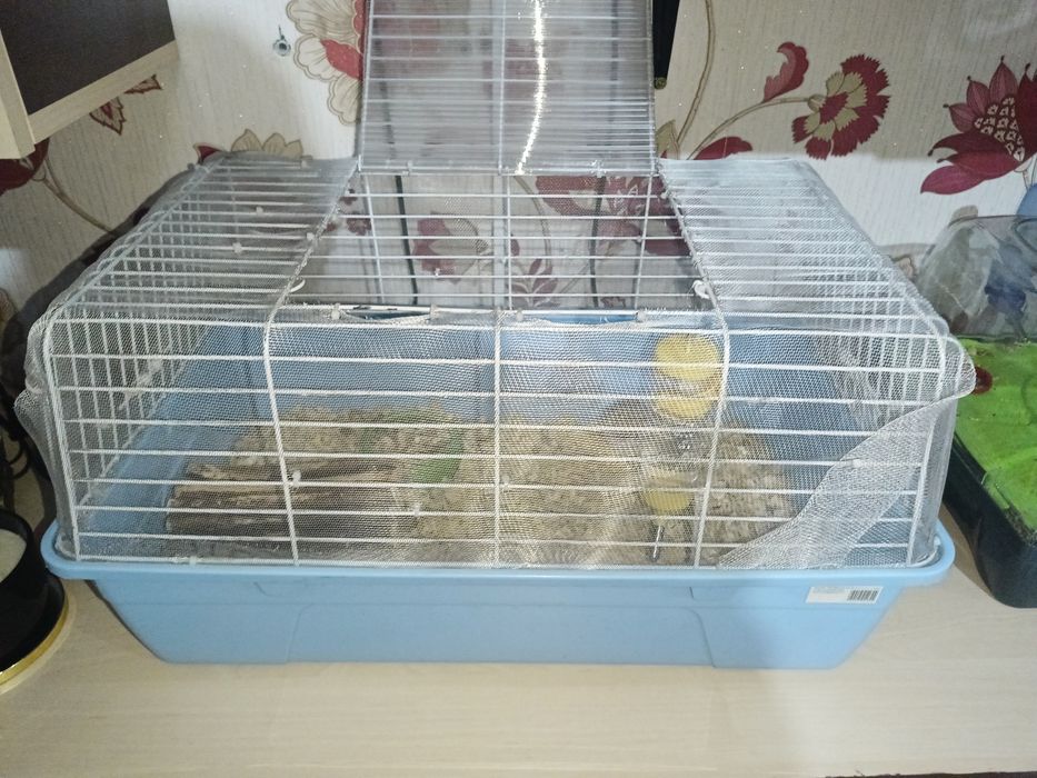 Vând hamsteri +cușcă