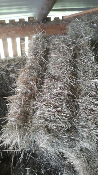 Vând baloţi de fân