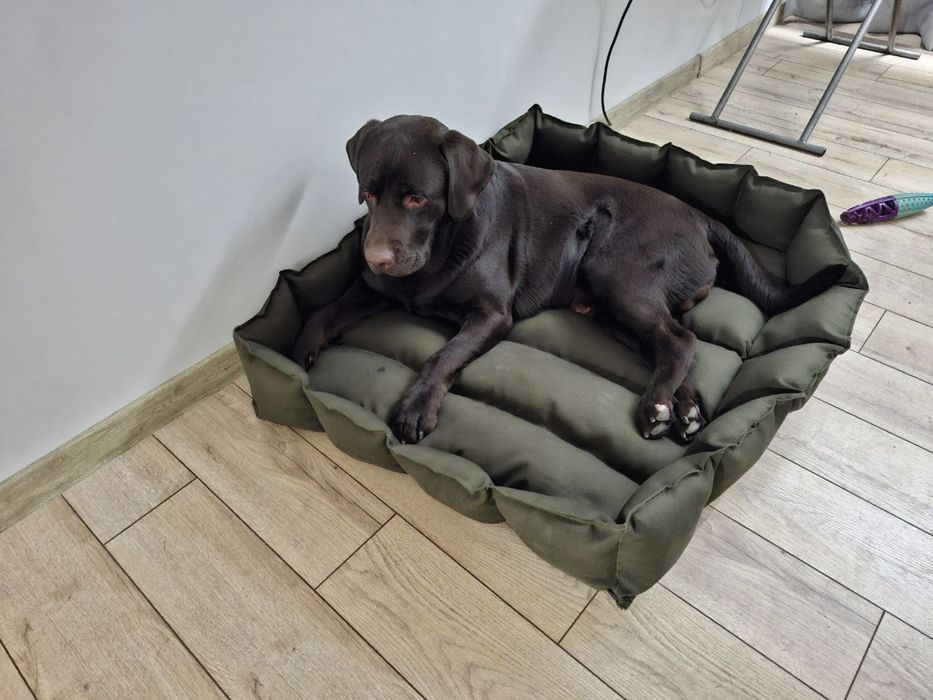 Лежанка для больших собак