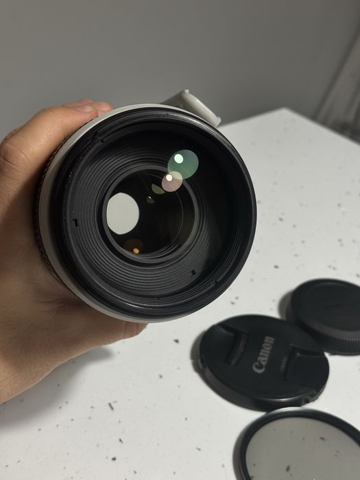 Canon EF 100-400mm L IS II USM