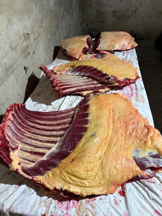 Натуральное мясо конины