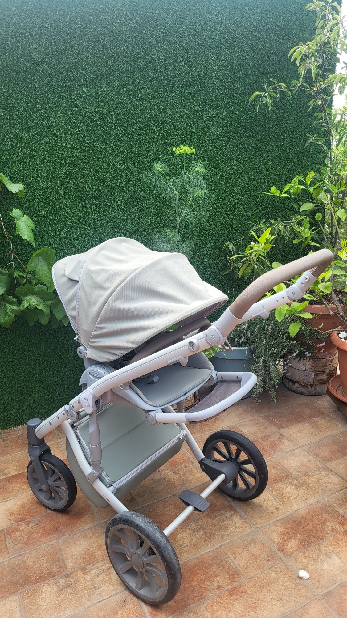 Anex M type mint