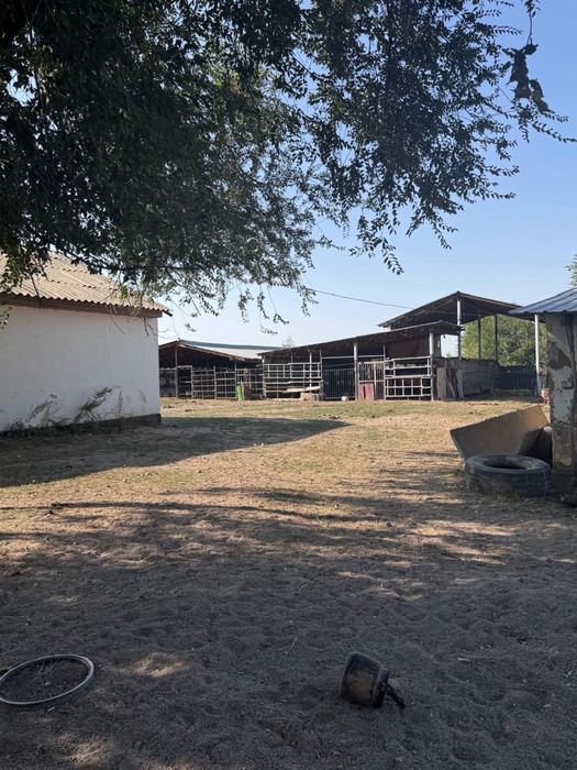 Сдам в аренду Фазенду.