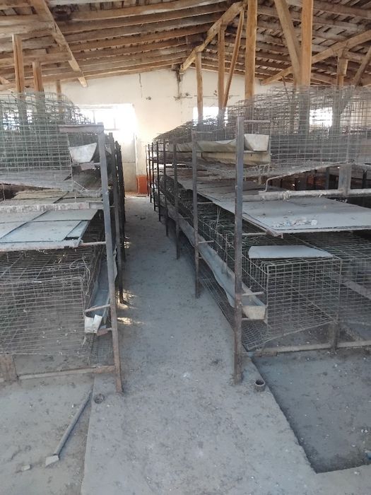 Tovuq boqish uchun qafas sotiladi