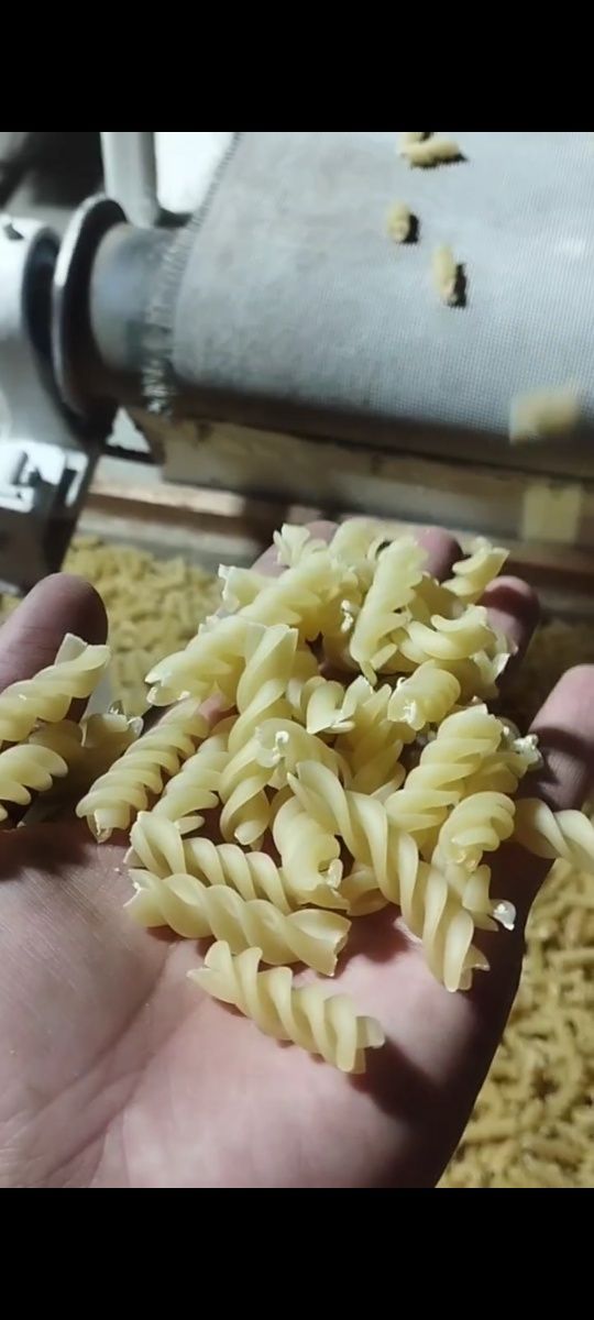 Макаронные аппарат сифатига гап йук