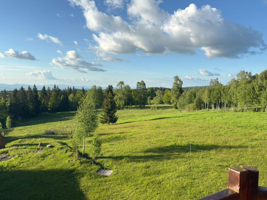 Pensiunea Dealu Negru 17B