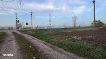 Teren 50000mp Extravilan-Intrare Halchiu-Cod 4486