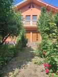 VILĂ PREMIUM ÎN CENTRUL ROMANULUI - resort privat cu livadă și piscină