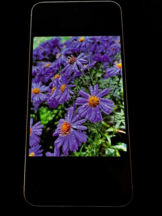 Samsung  Galaxy A56  NOU.