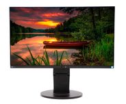 Монитор EIZO FLEXSCAN EV2450 24 инча FHD IPS 24 месеца гаранция