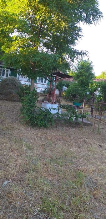 Case de vânzare în Văleni, Vaslui – 4.500 m² teren