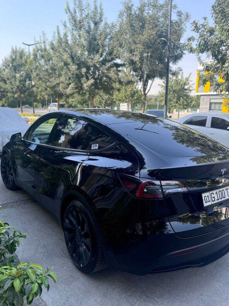 Tesla Model Y Performance