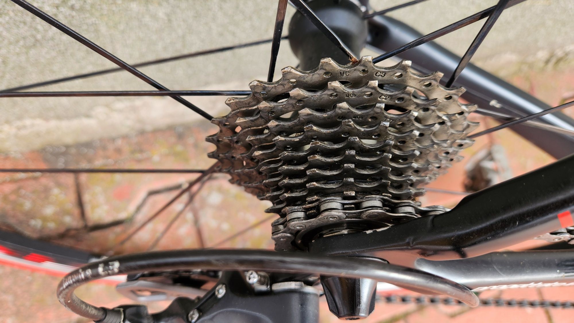 Colnago ACE Carbon