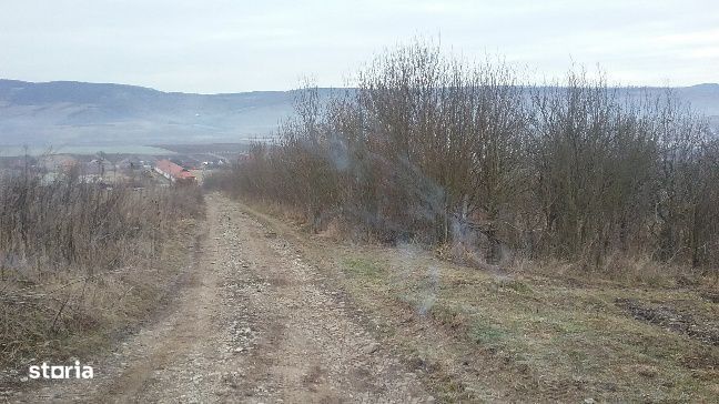 ID 9459: Teren 5.100 mp - Lechinta, Bistrita Nasaud