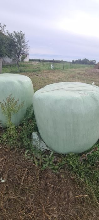 Baloti rotunzi paie de grau si lucerna infoliata