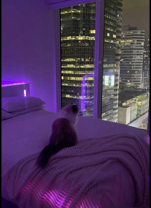 Ең Күштті Сапалы Массаждар Шымкент