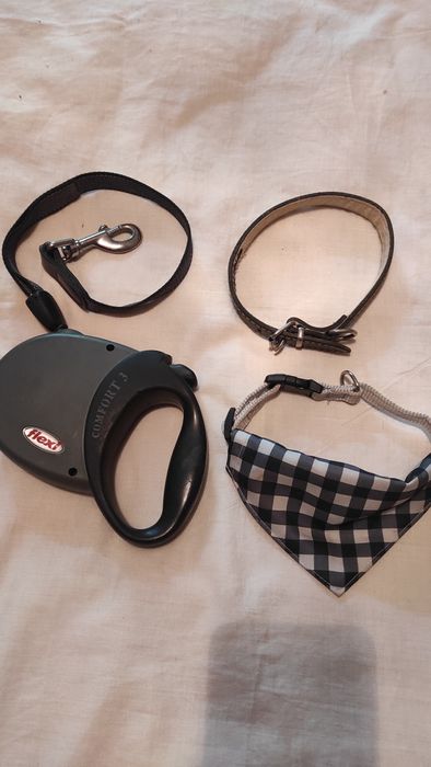 Lesa, zgarda piele și zgarda cu batic