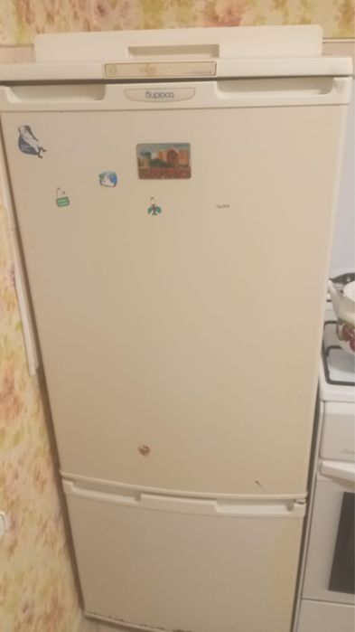 Холодильник Бирюса