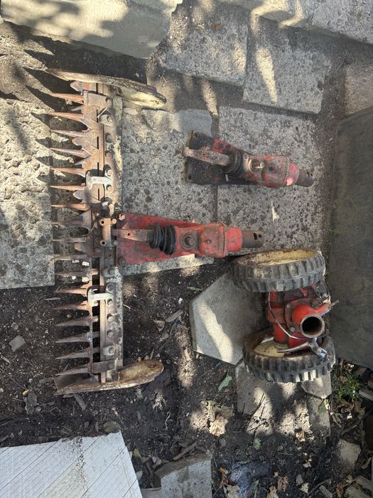 Косачка палцева