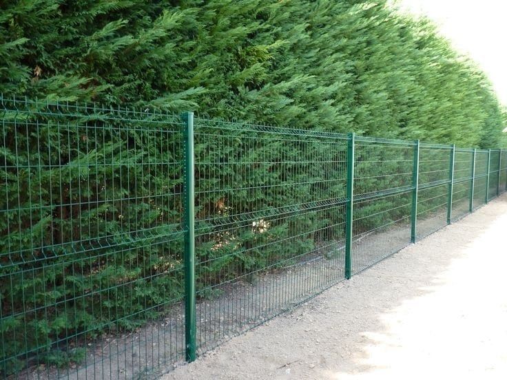 Meșter la garduri din plasă bordurata