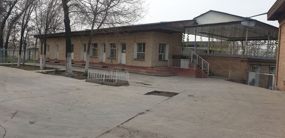 Чиноз Центрида 63 сотих Чойхона